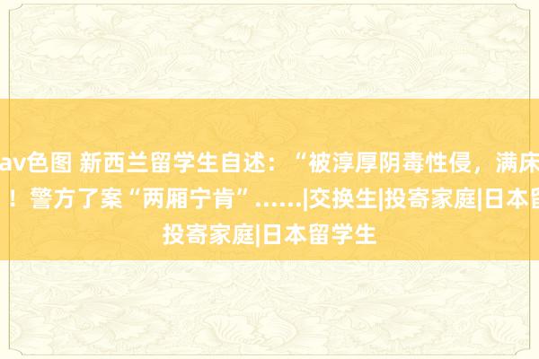 av色图 新西兰留学生自述：“被淳厚阴毒性侵，满床是血”！警方了案“两厢宁肯”......|交换生|投寄家庭|日本留学生