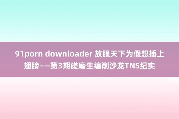 91porn downloader 放眼天下为假想插上翅膀——第3期磋磨生编削沙龙TNS纪实