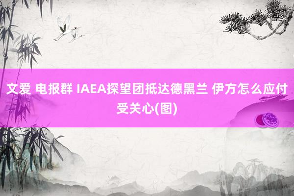 文爱 电报群 IAEA探望团抵达德黑兰 伊方怎么应付受关心(图)