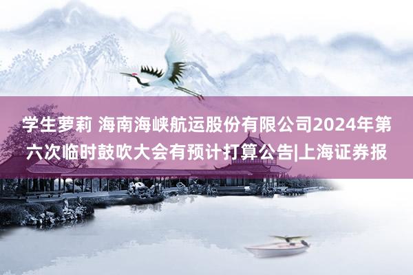 学生萝莉 海南海峡航运股份有限公司2024年第六次临时鼓吹大会有预计打算公告|上海证券报