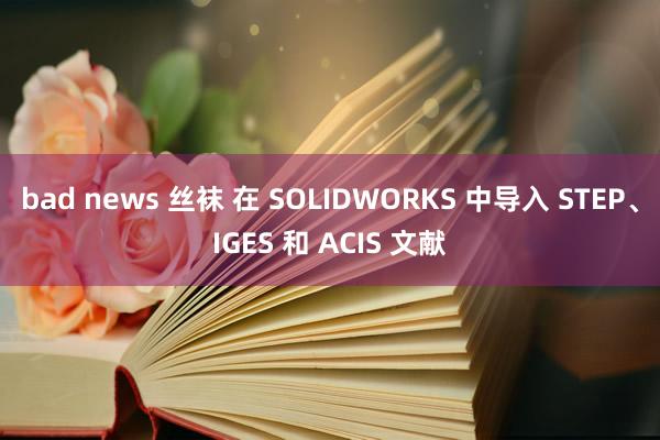 bad news 丝袜 在 SOLIDWORKS 中导入 STEP、IGES 和 ACIS 文献