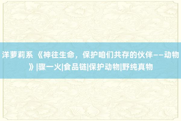 洋萝莉系 《神往生命，保护咱们共存的伙伴——动物》|骤一火|食品链|保护动物|野纯真物