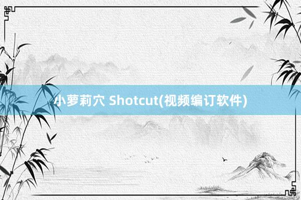 小萝莉穴 Shotcut(视频编订软件)