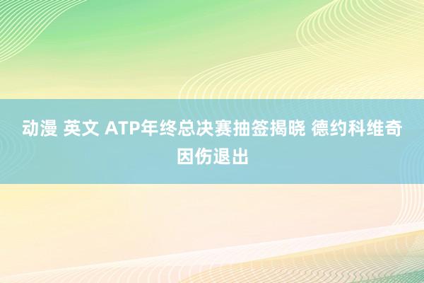 动漫 英文 ATP年终总决赛抽签揭晓 德约科维奇因伤退出