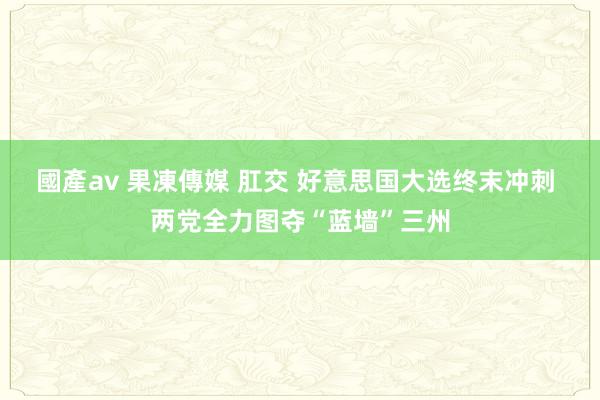 國產av 果凍傳媒 肛交 好意思国大选终末冲刺 两党全力图夺“蓝墙”三州