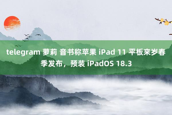 telegram 萝莉 音书称苹果 iPad 11 平板来岁春季发布，预装 iPadOS 18.3